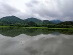 梅雨