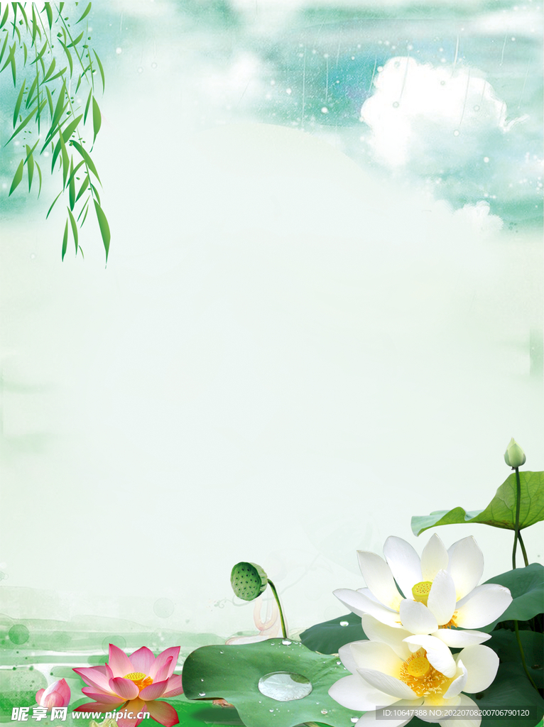 莲花背景