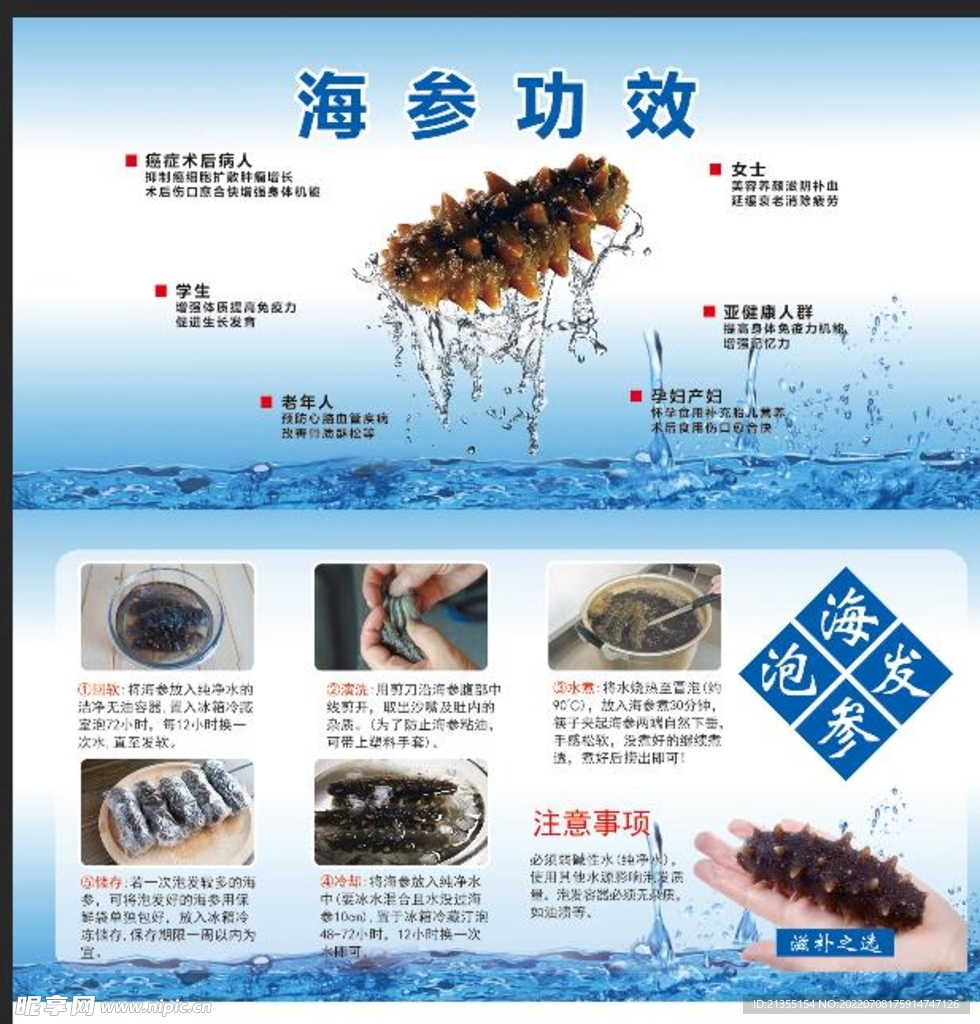 海参功效  说明