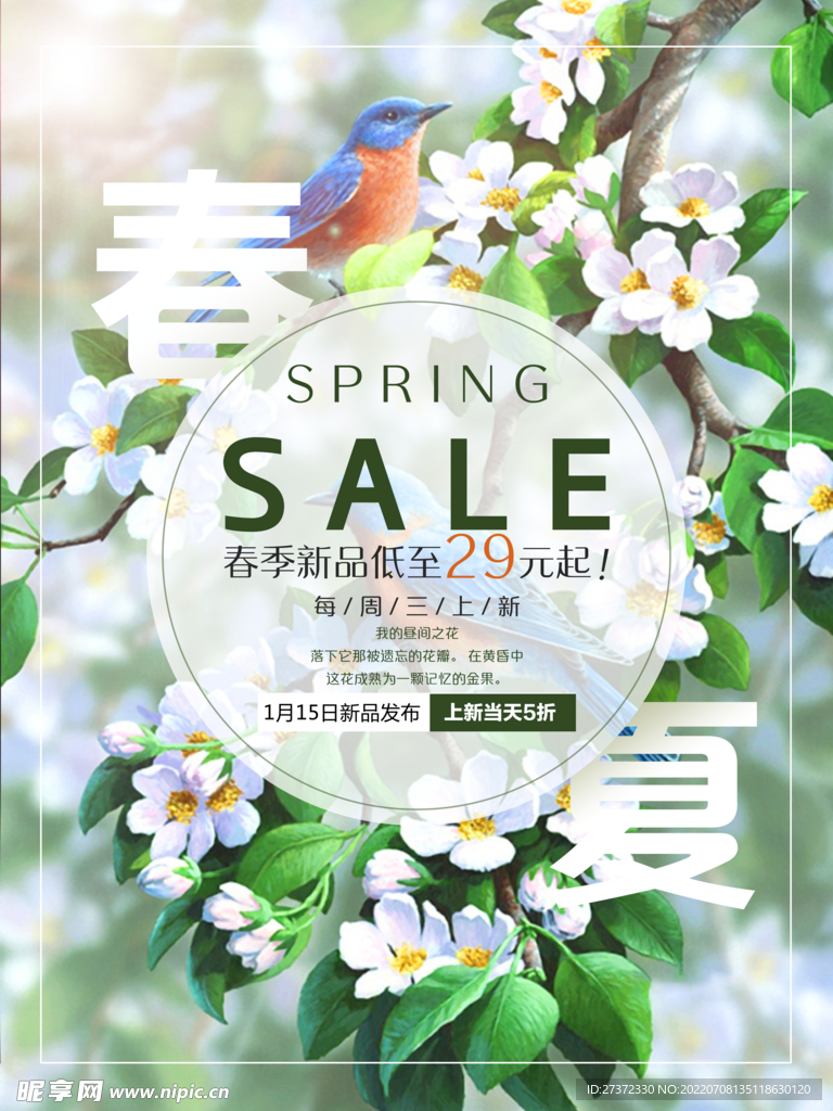 夏季特惠