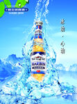 啤酒  