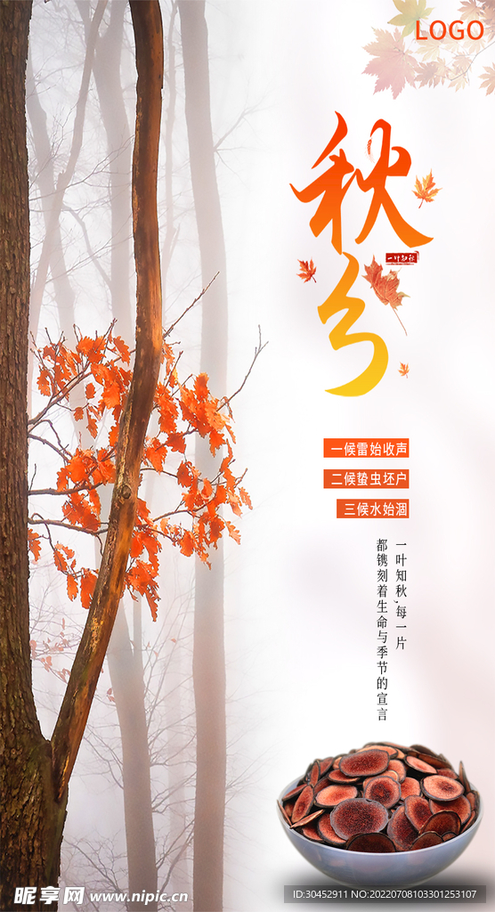 秋分