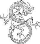 龙