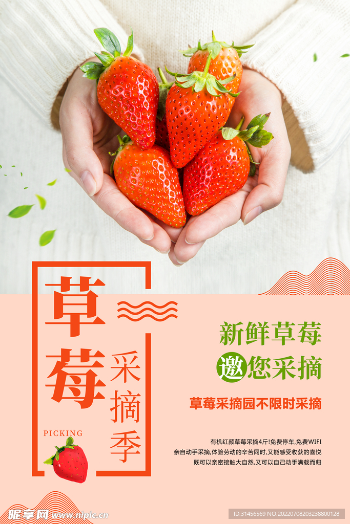 草莓
