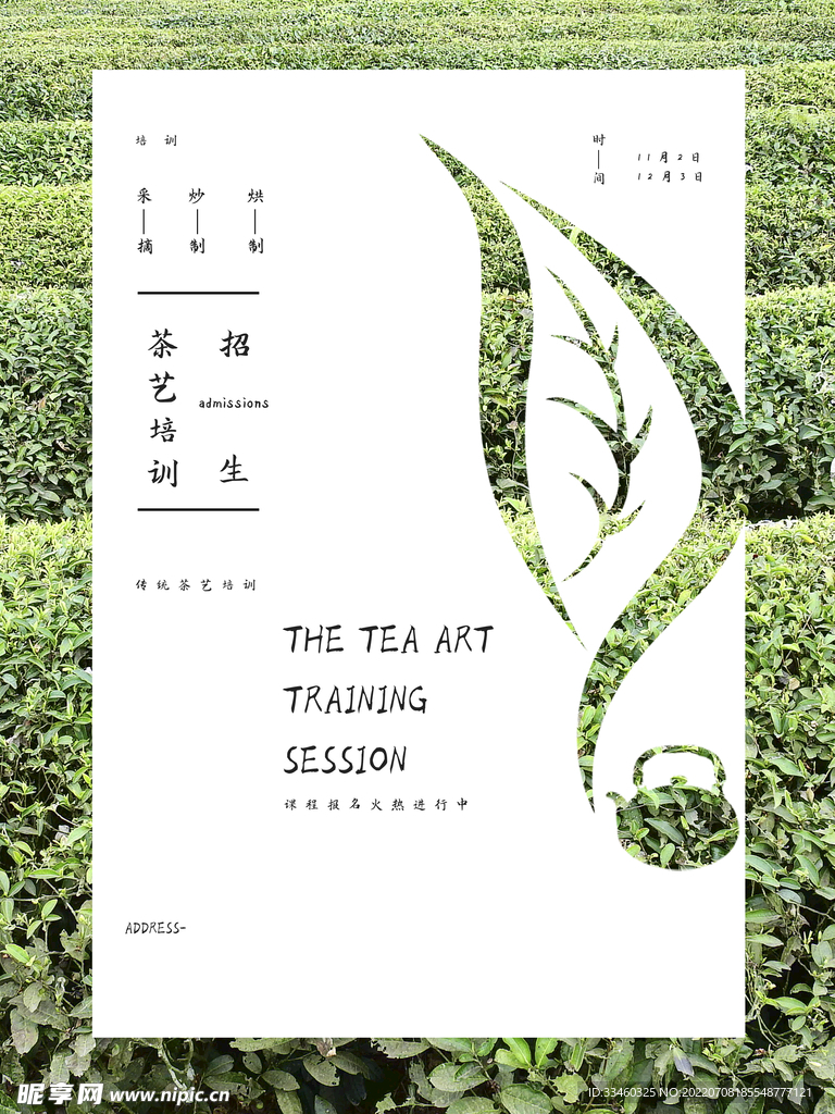 茶艺培训