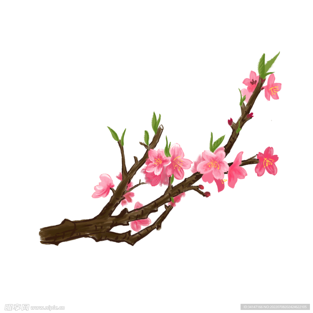 梅花
