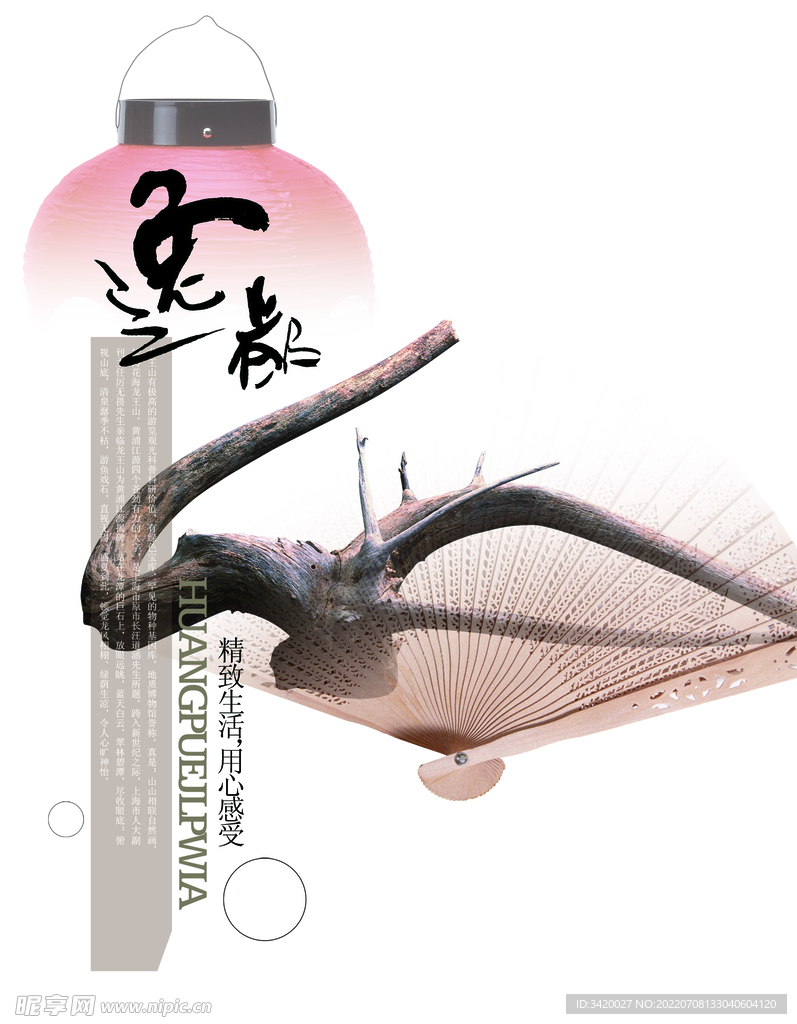 逸岁