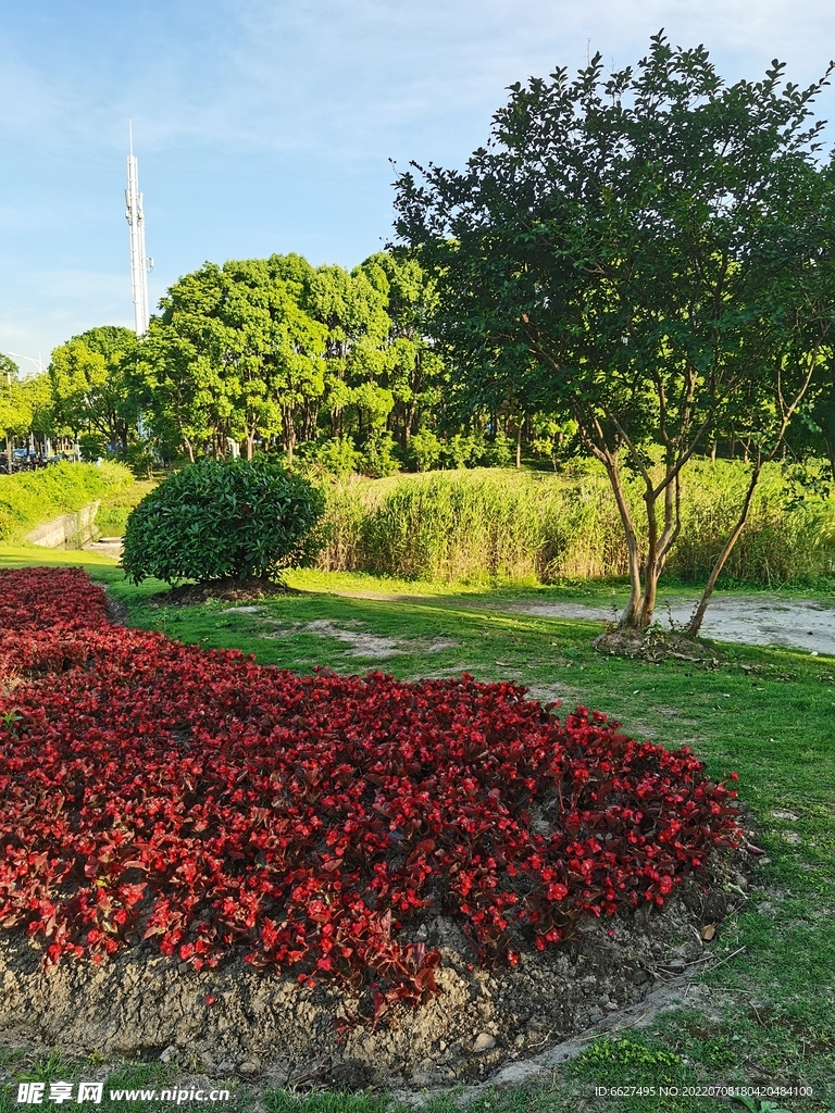 公园风景