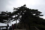 黄山