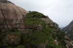 黄山