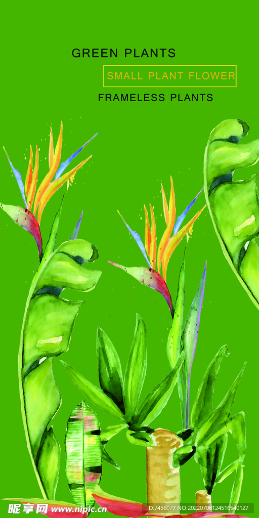 绿植水彩艺术挂画装饰画