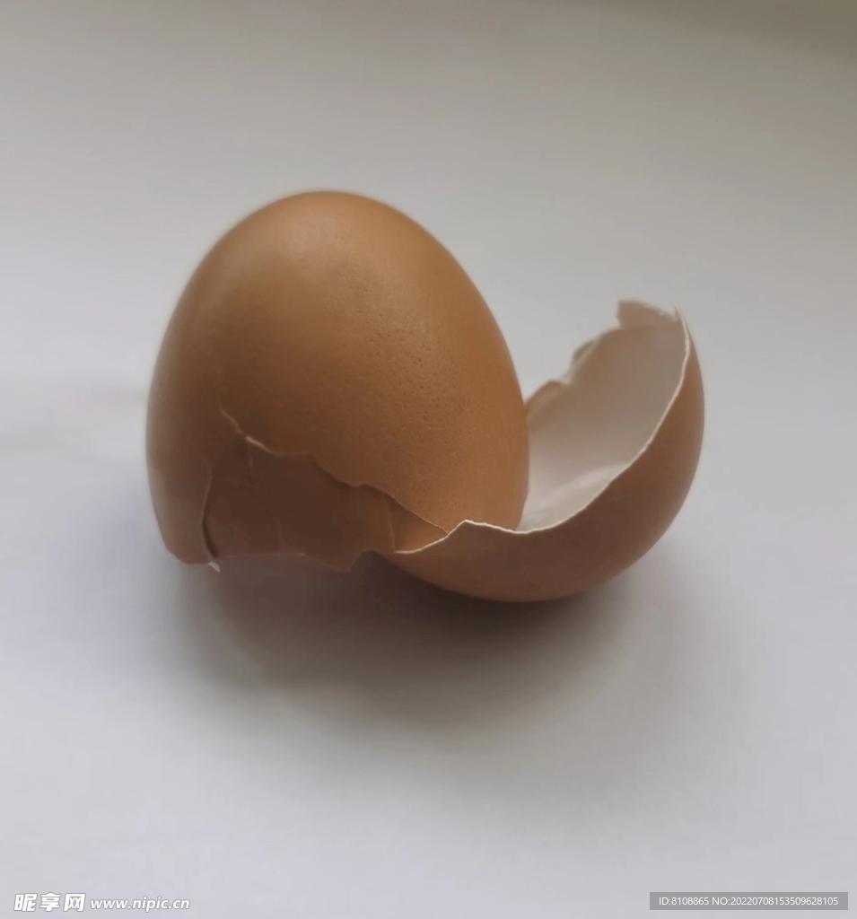  鸡蛋壳