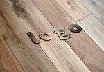 logo标志