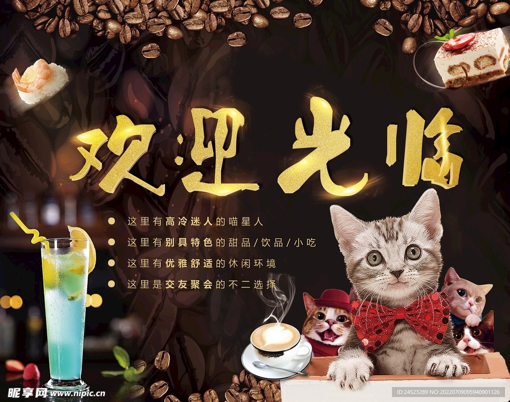 猫咖欢迎光临