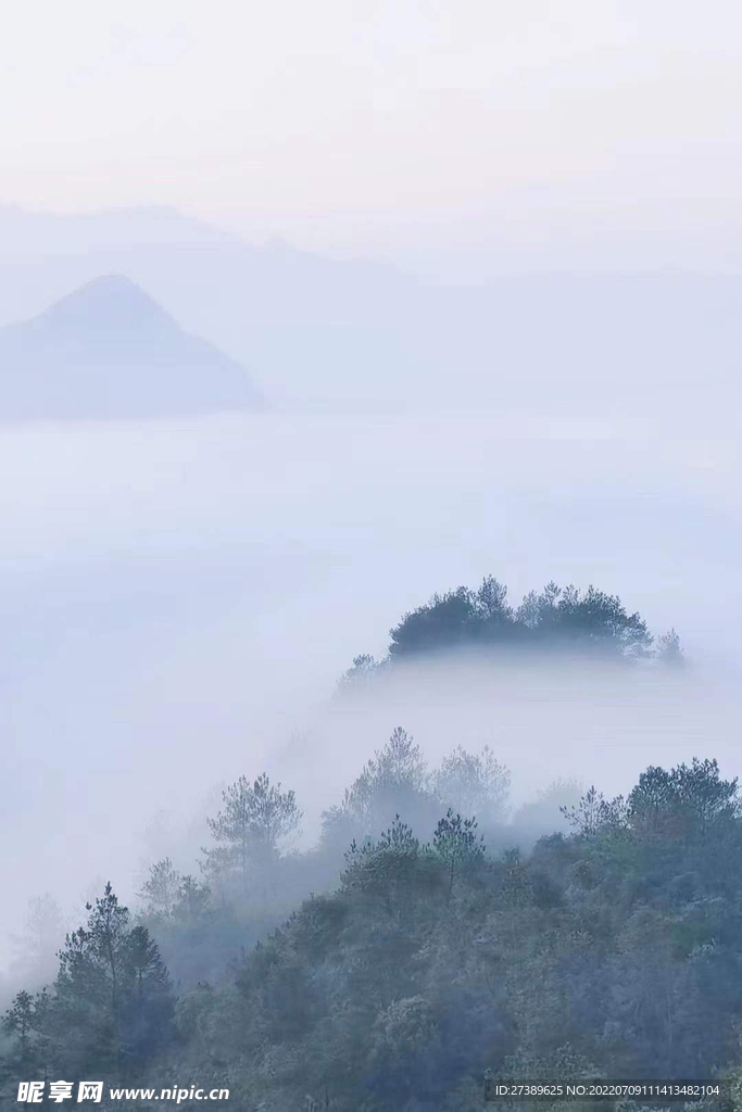 高山云雾