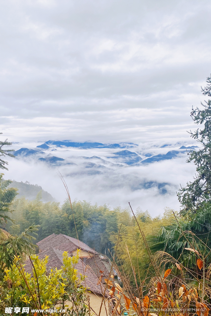 云雾山村