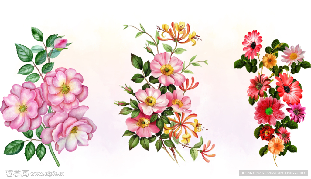水彩花卉