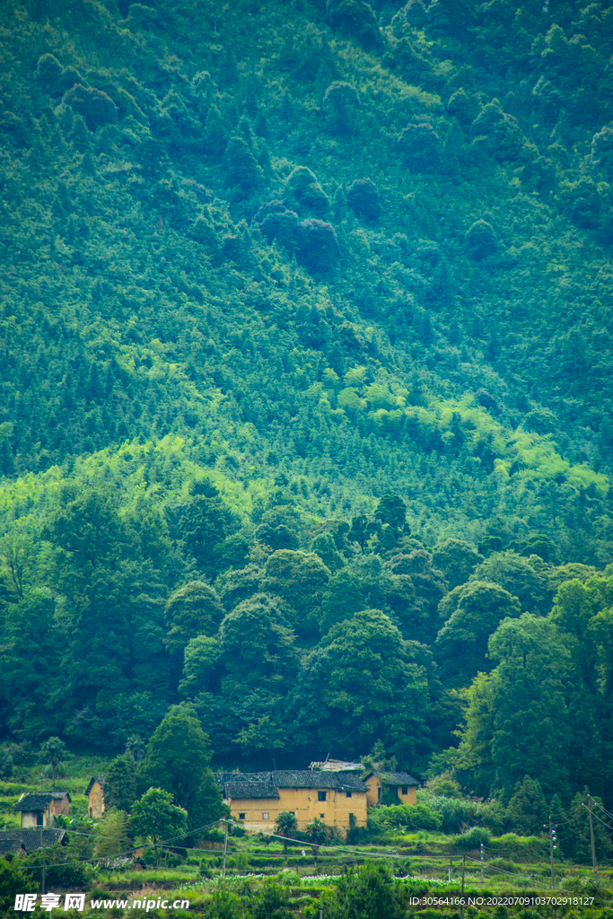 户外森林山脉自然景观