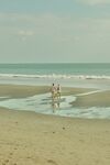 大海