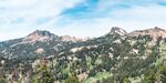 山