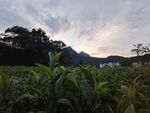 自然风光