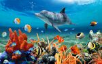 海底世界海豚图案