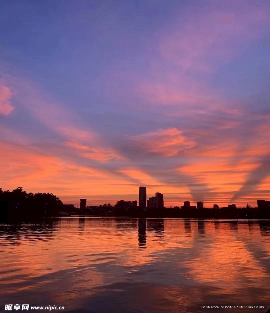 夕阳红