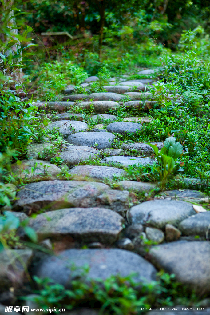 户外乡村石头小路道路