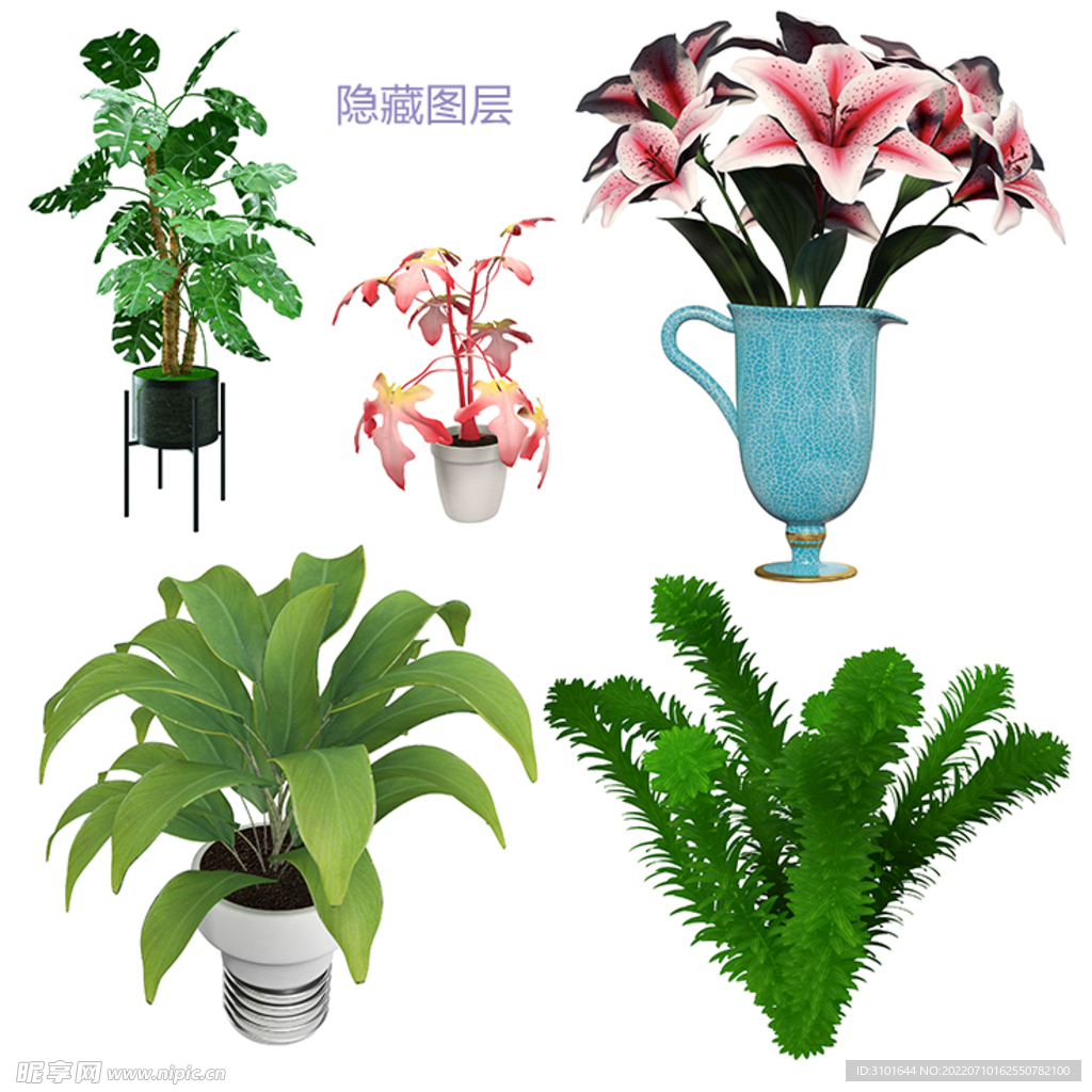3D植物