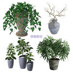3D植物