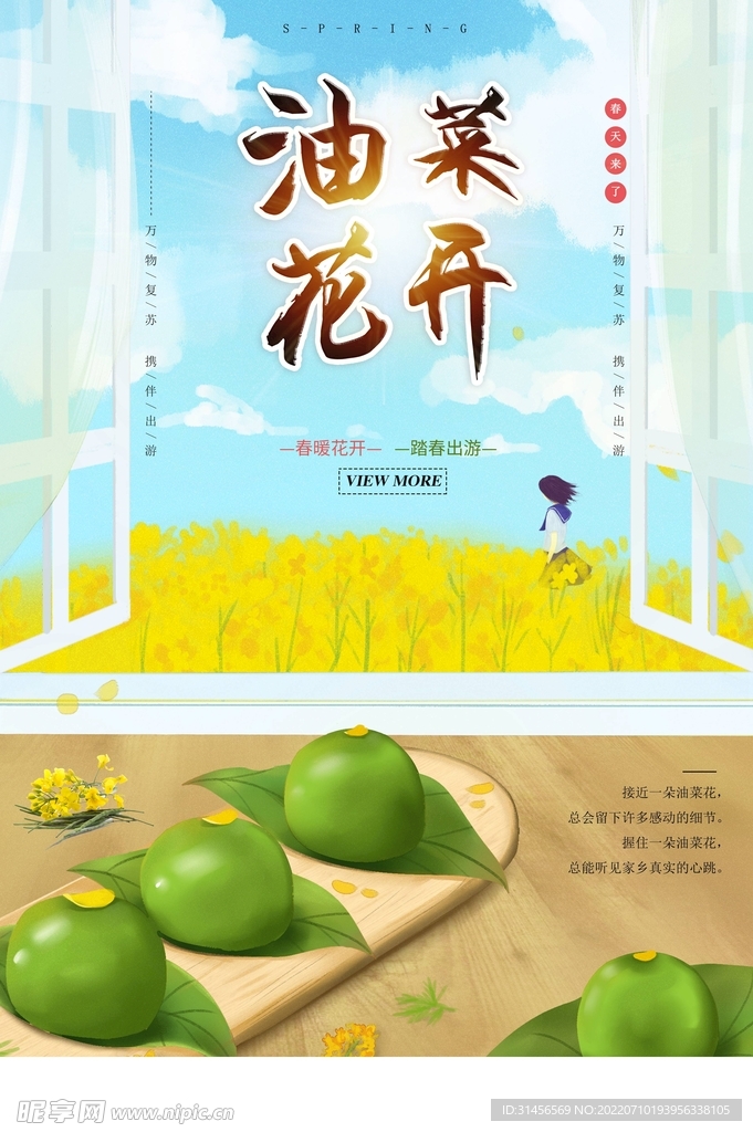 油菜花开