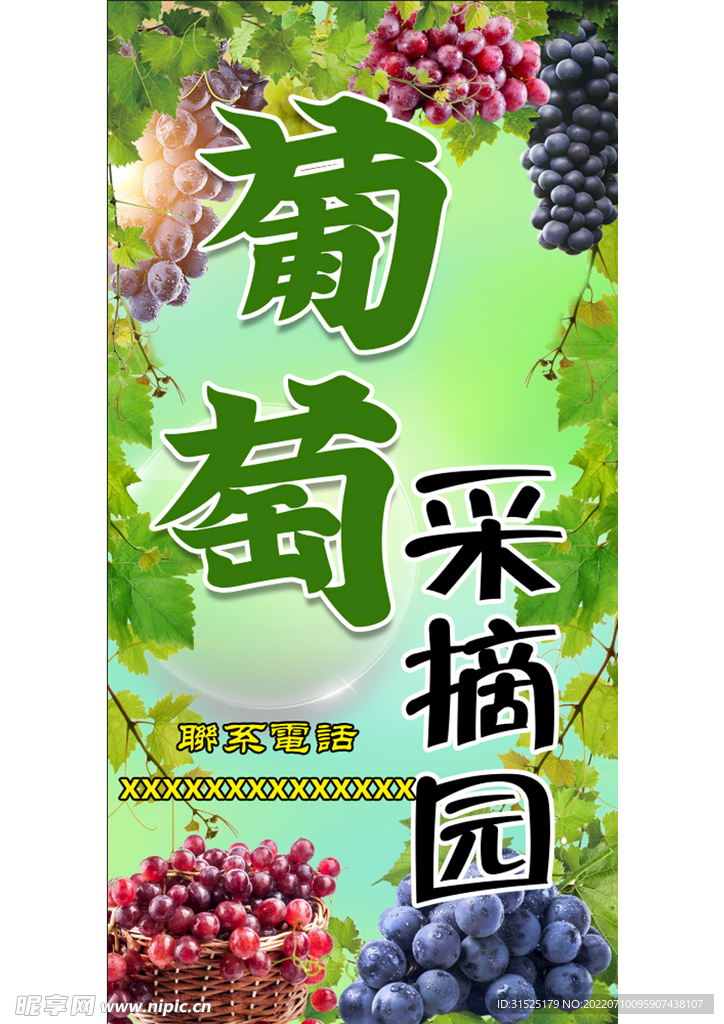 葡萄