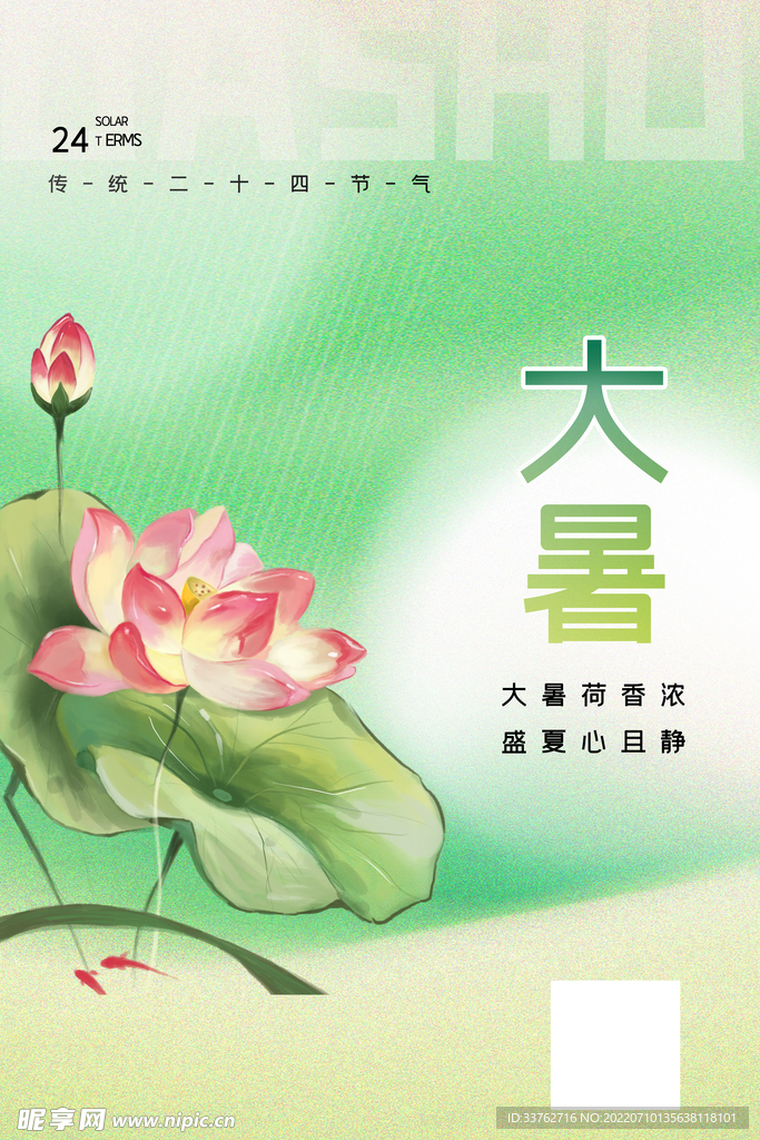 大暑海报