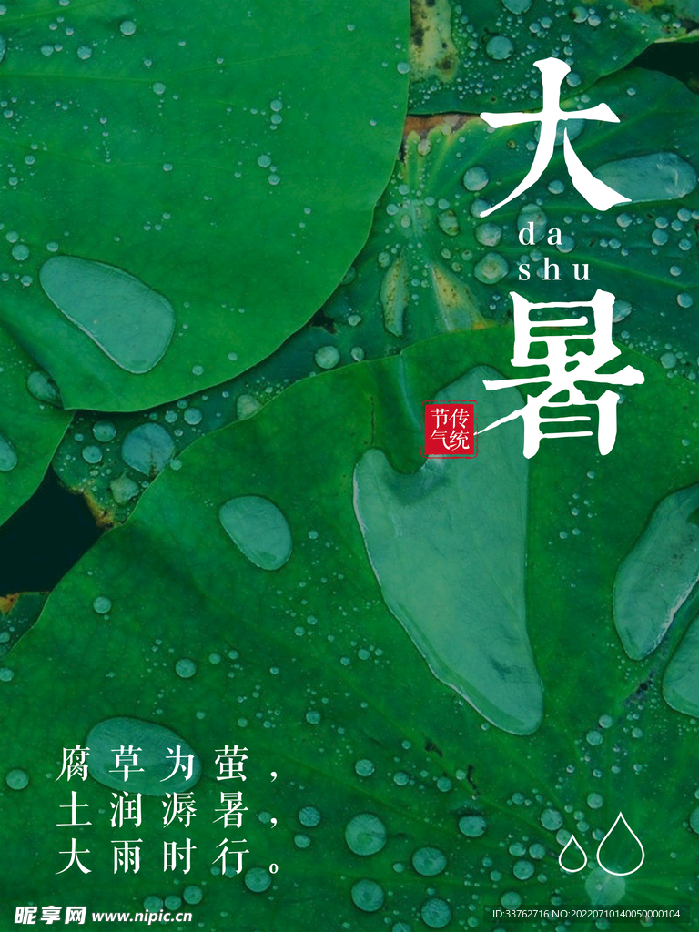 大暑海报