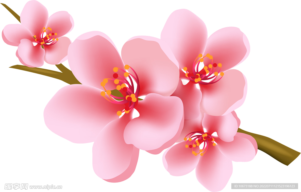 写实花卉
