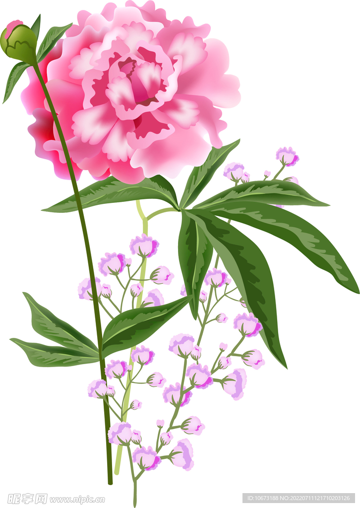 写实花卉