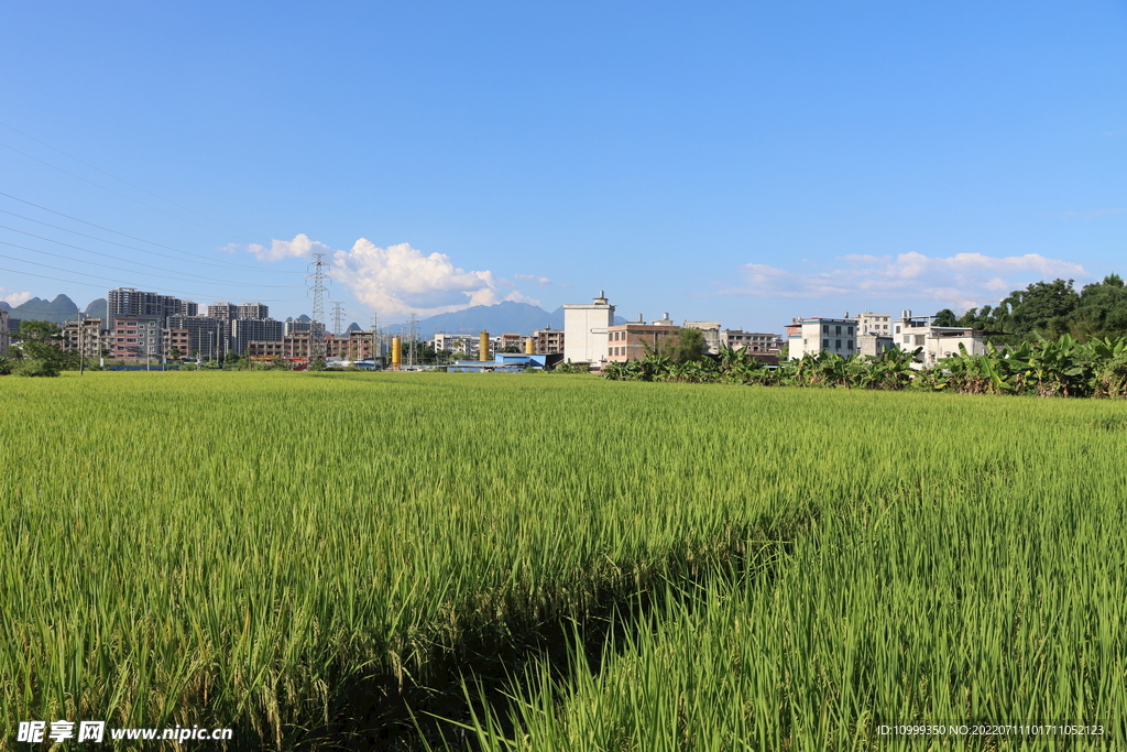 田园风光