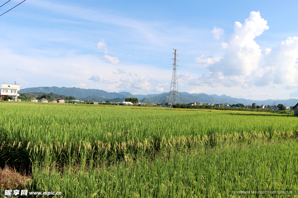 田园风光