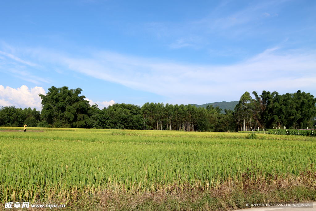 田园风光