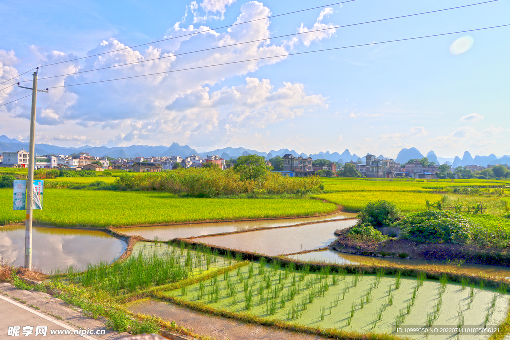 田园风光