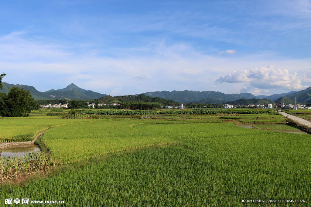 田园风光