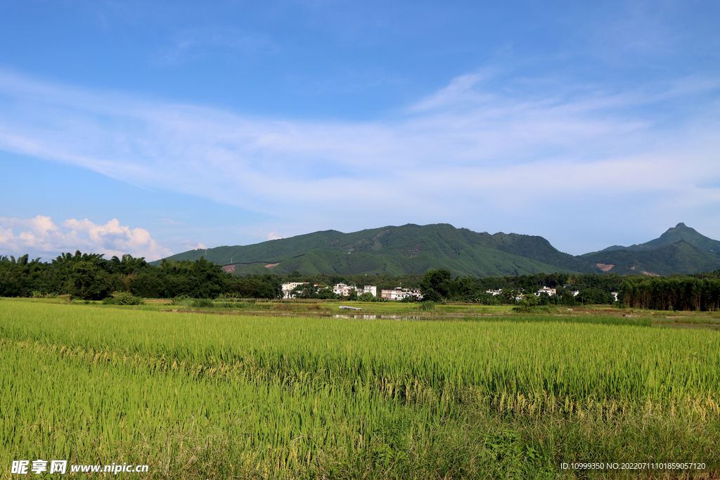 田园风光