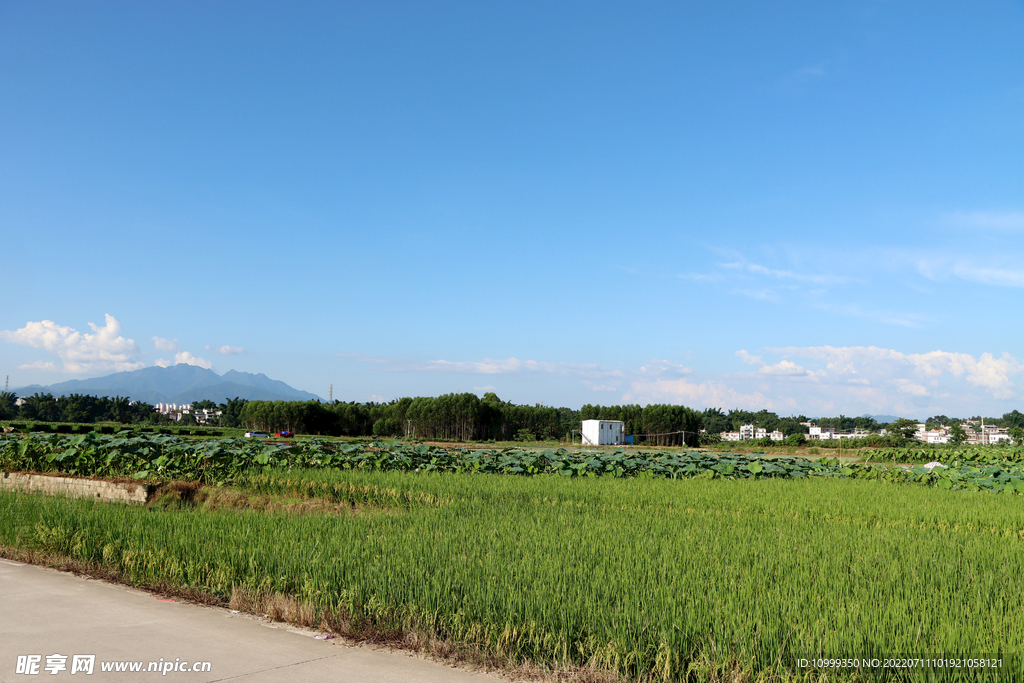 田园风光