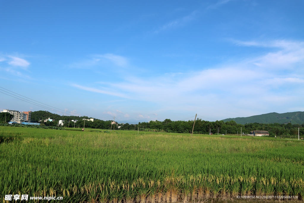 田园风光