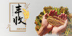 丰收