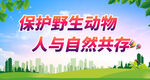 保护野生动物
