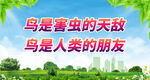 鸟是人类的朋友