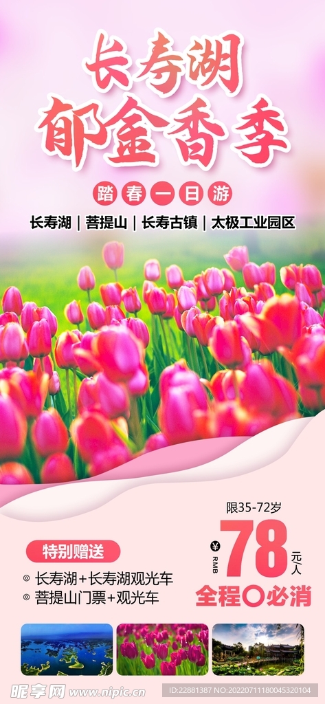 旅游 赏花