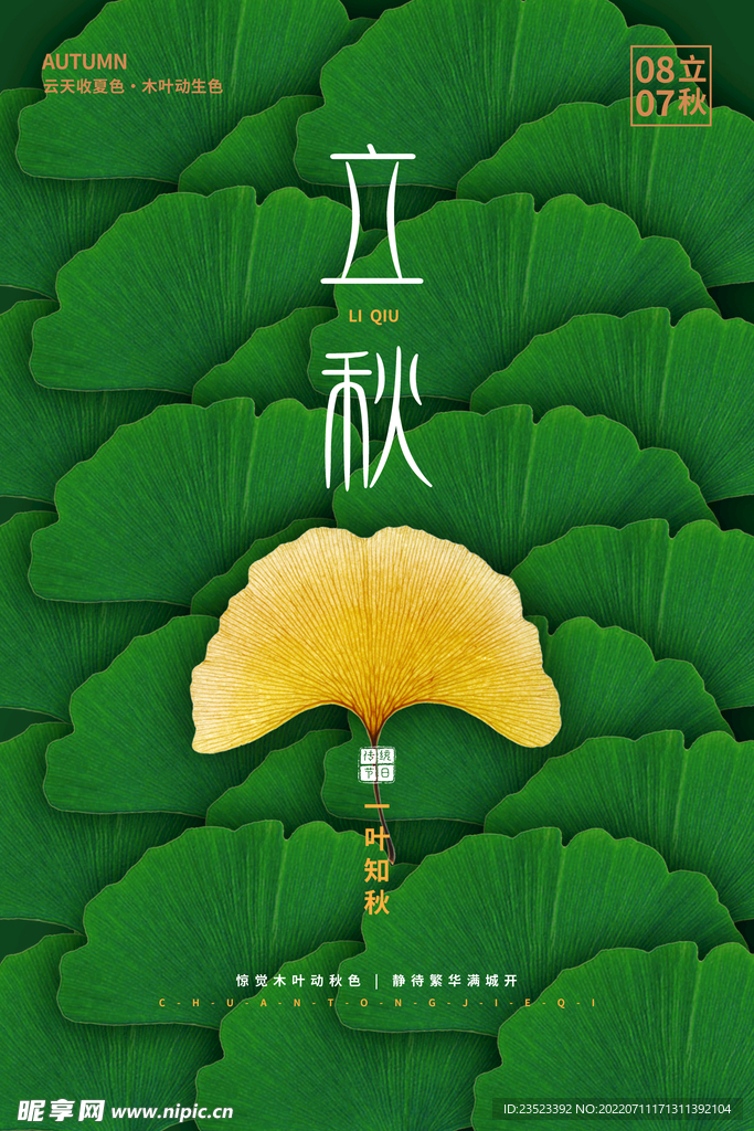 立秋海报