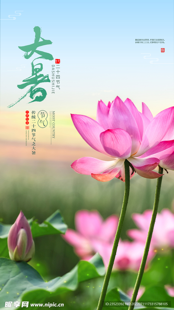 大暑海报